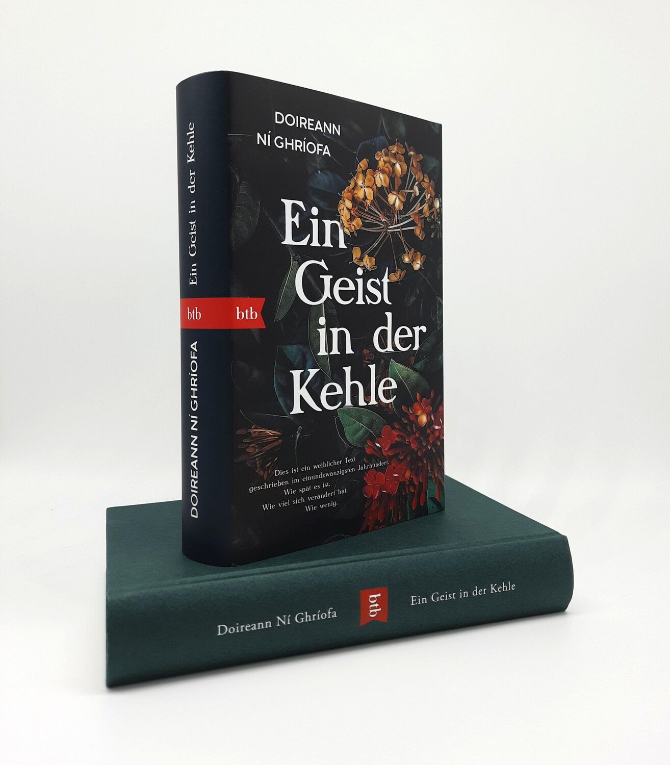 Bild: 9783442762316 | Ein Geist in der Kehle | Doireann Ní Ghríofa | Buch | 384 S. | Deutsch