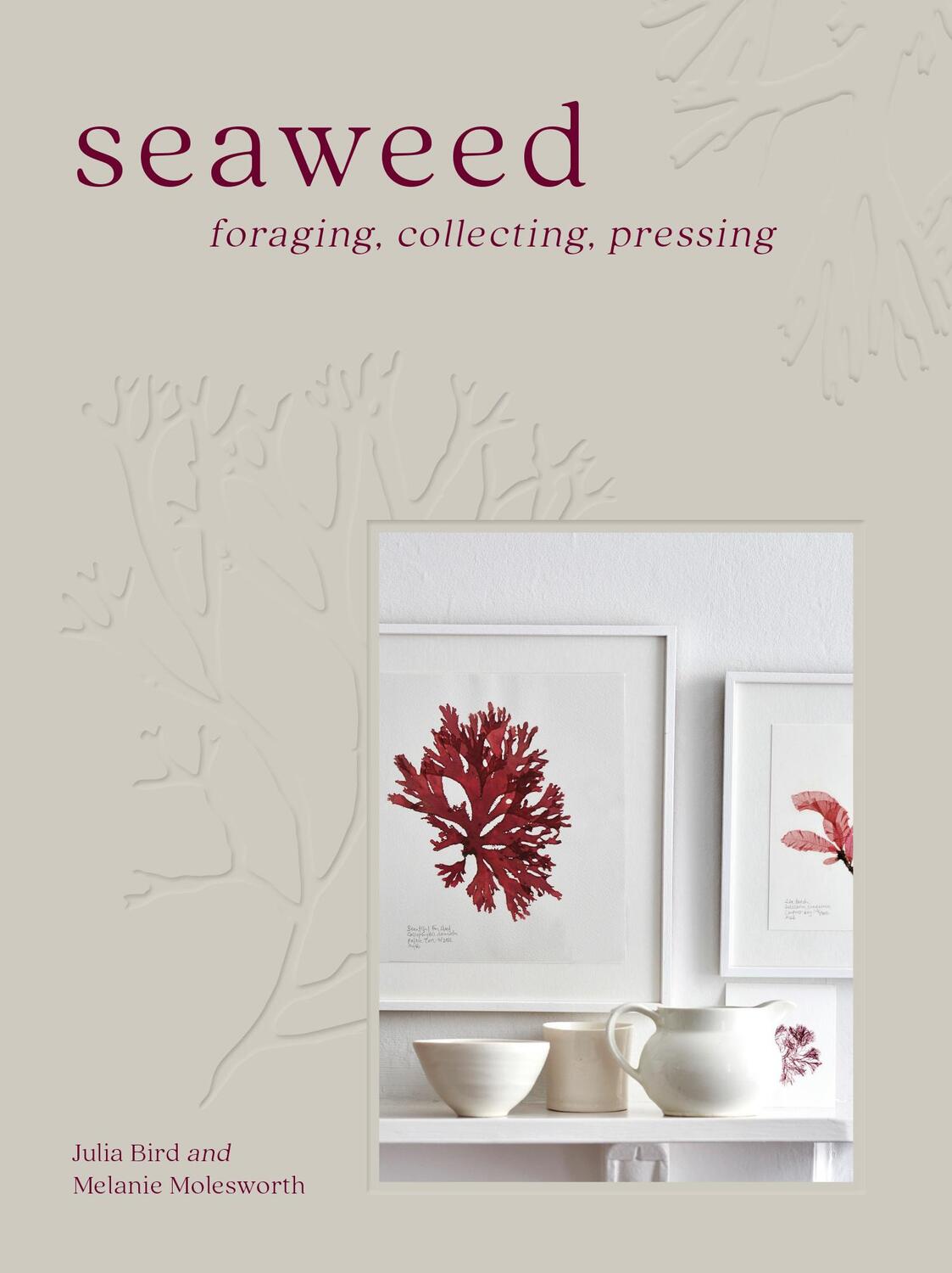 Cover: 9780008557409 | Seaweed | Foraging, Collecting, Pressing | Melanie Molesworth (u. a.)