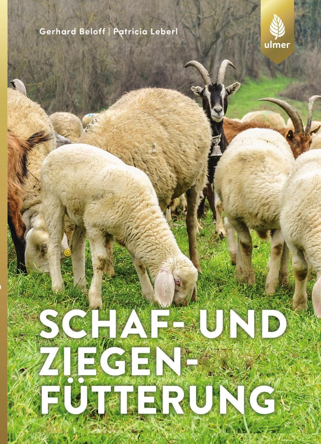Cover: 9783800108817 | Schaf- und Ziegenfütterung | Gerhard Bellof (u. a.) | Taschenbuch