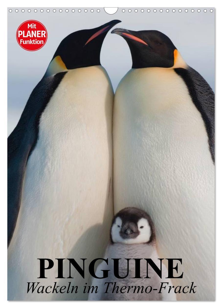 Cover: 9783383309939 | Pinguine. Wackeln im Thermo-Frack (Wandkalender 2024 DIN A3 hoch),...