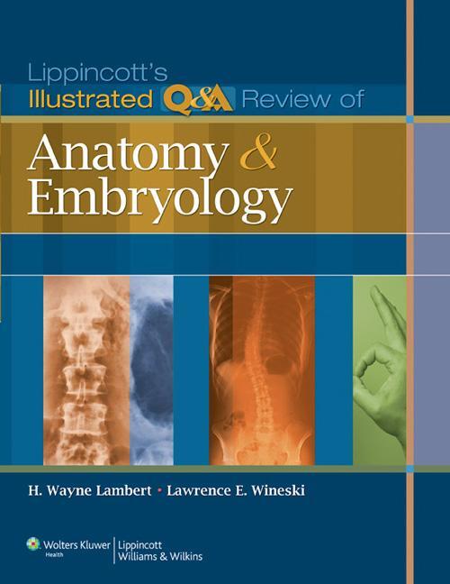 Cover: 9781605473154 | Lippincott's Illustrated Q&A Review of Anatomy and Embryology | Buch