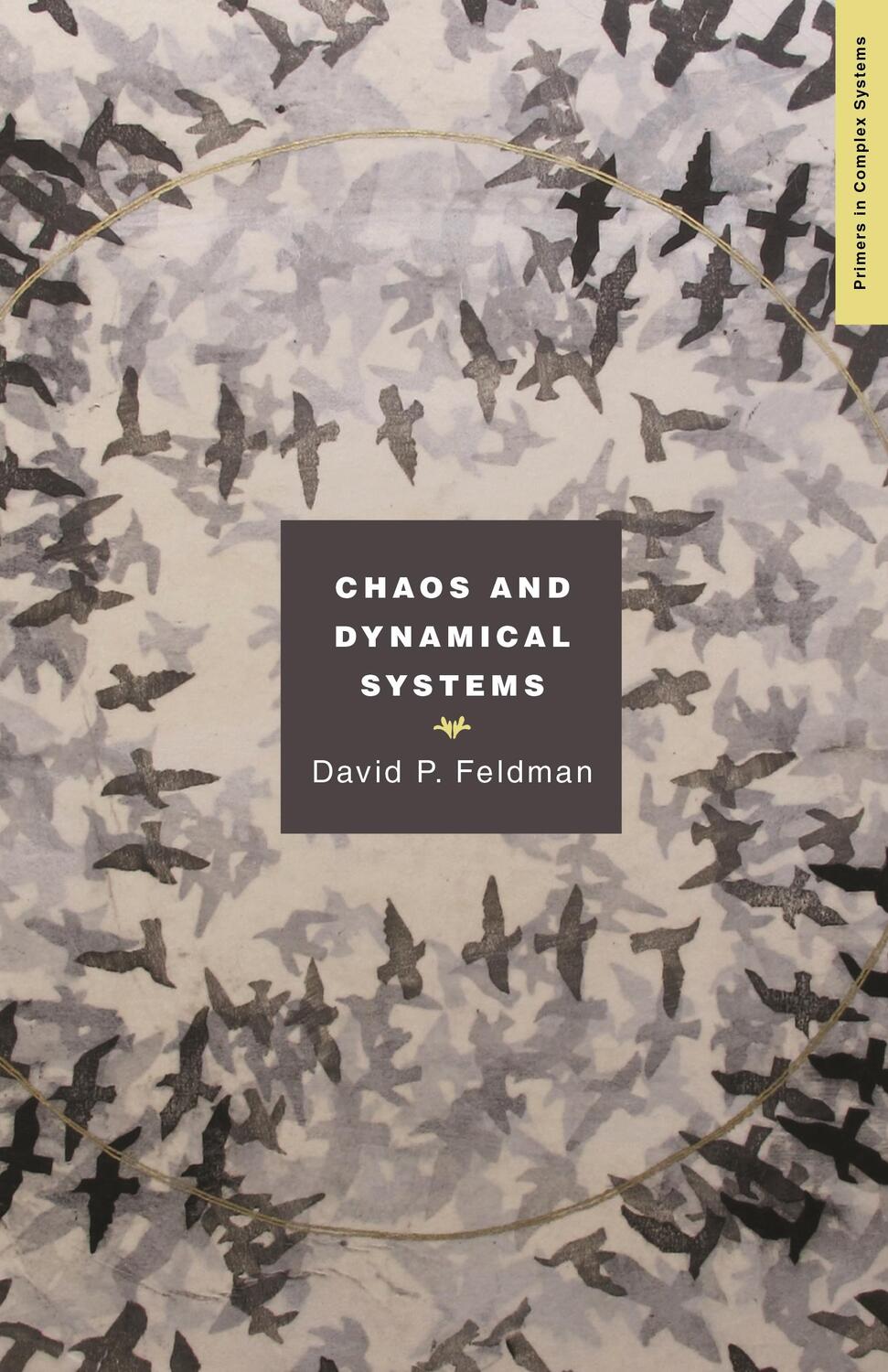 Cover: 9780691161525 | Chaos and Dynamical Systems | David Feldman | Taschenbuch | Englisch