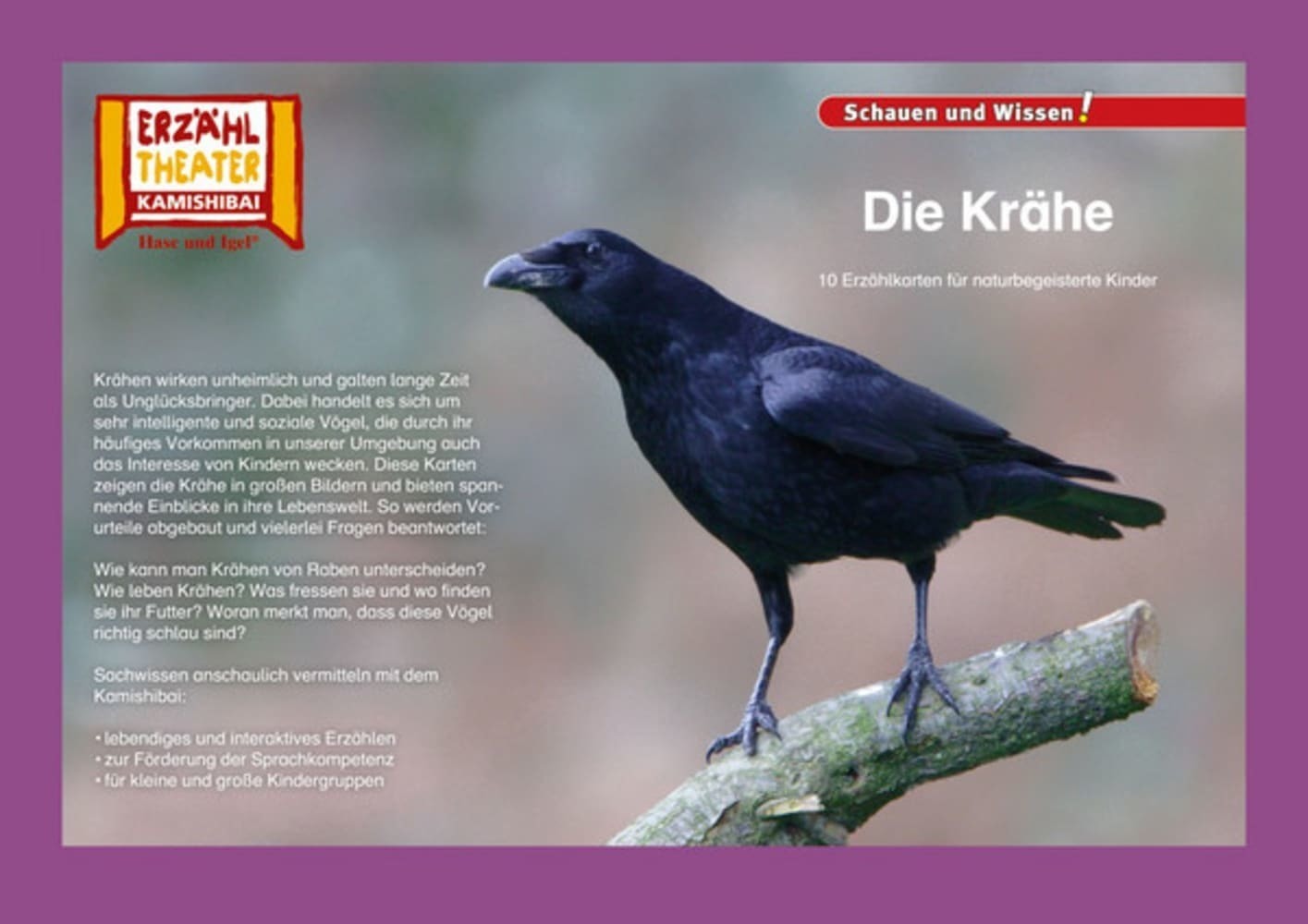 Cover: 4260505830533 | Die Krähe / Kamishibai | 10 Fotobildkarten für das Erzähltheater | Box