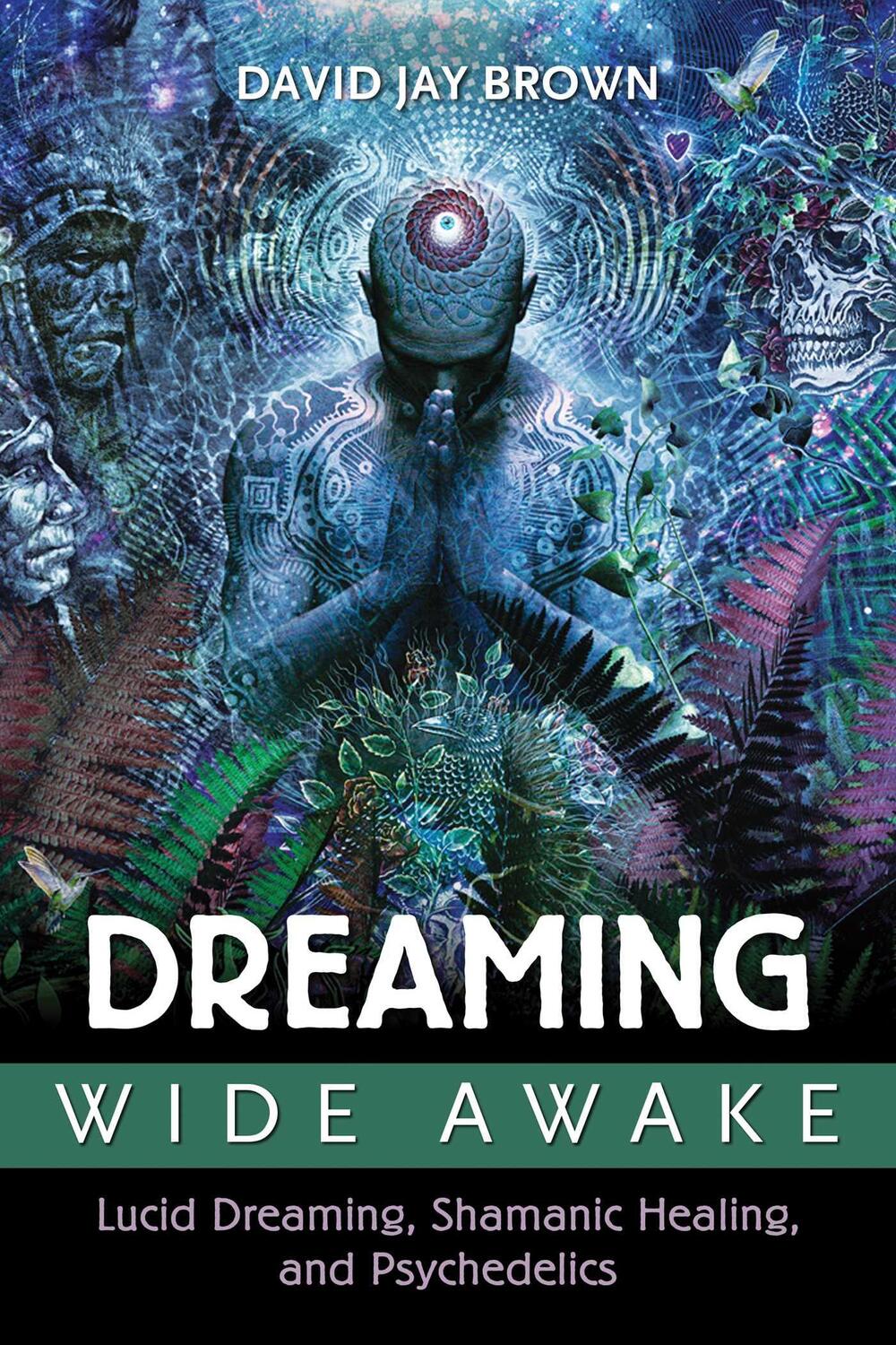 Cover: 9781620554890 | Dreaming Wide Awake: Lucid Dreaming, Shamanic Healing, and...