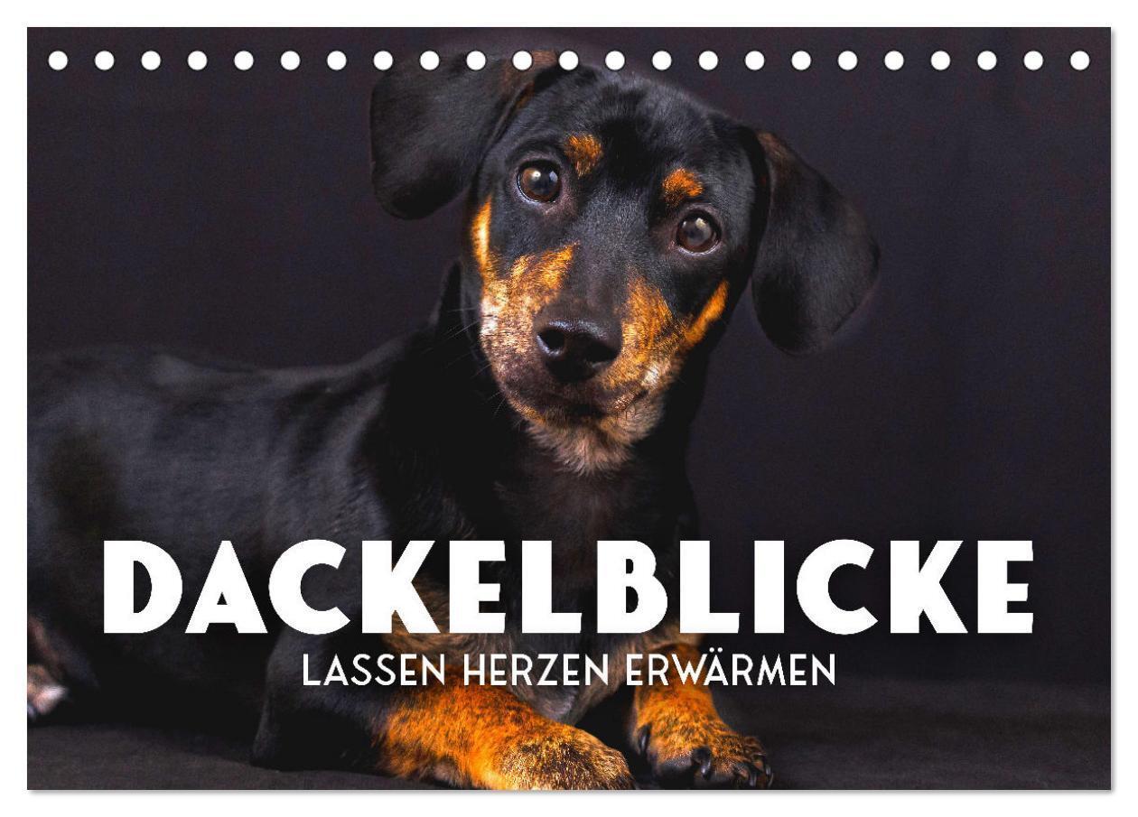 Cover: 9783675482678 | Dackelblicke - Lassen Herzen erwärmen. (Tischkalender 2024 DIN A5...