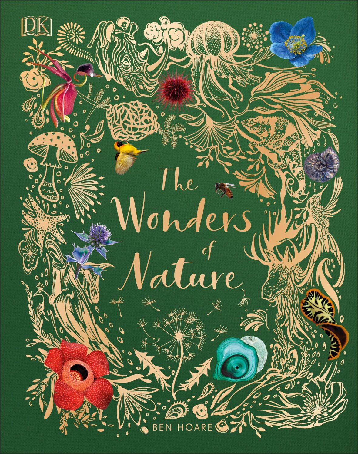 Cover: 9780241386217 | The Wonders of Nature | Ben Hoare | Buch | DK Children's Anthologies