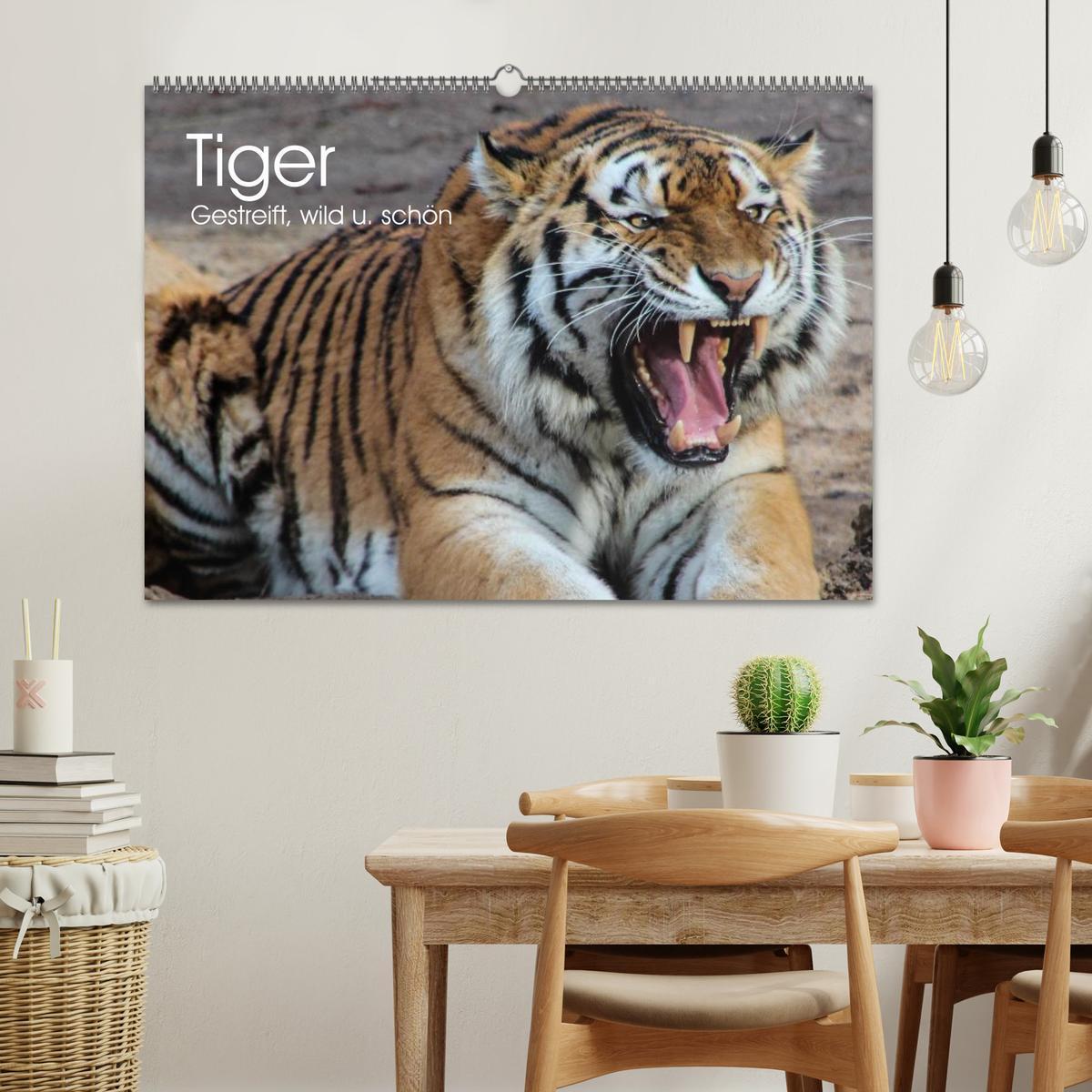 Bild: 9783435738168 | Tiger. Gestreift, wild u. schön (Wandkalender 2025 DIN A2 quer),...