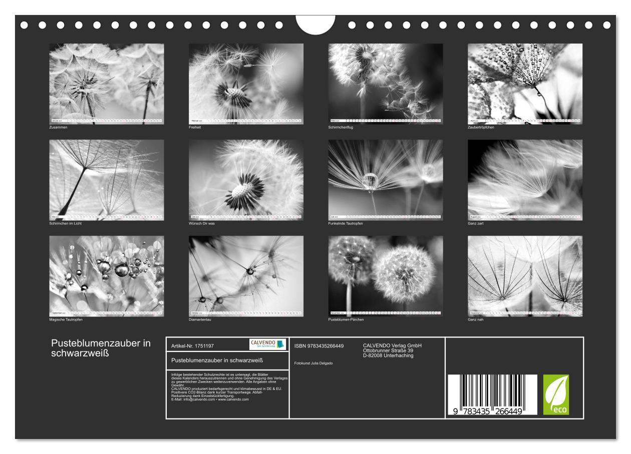 Bild: 9783435266449 | Pusteblumenzauber in schwarzweiß (Wandkalender 2025 DIN A4 quer),...