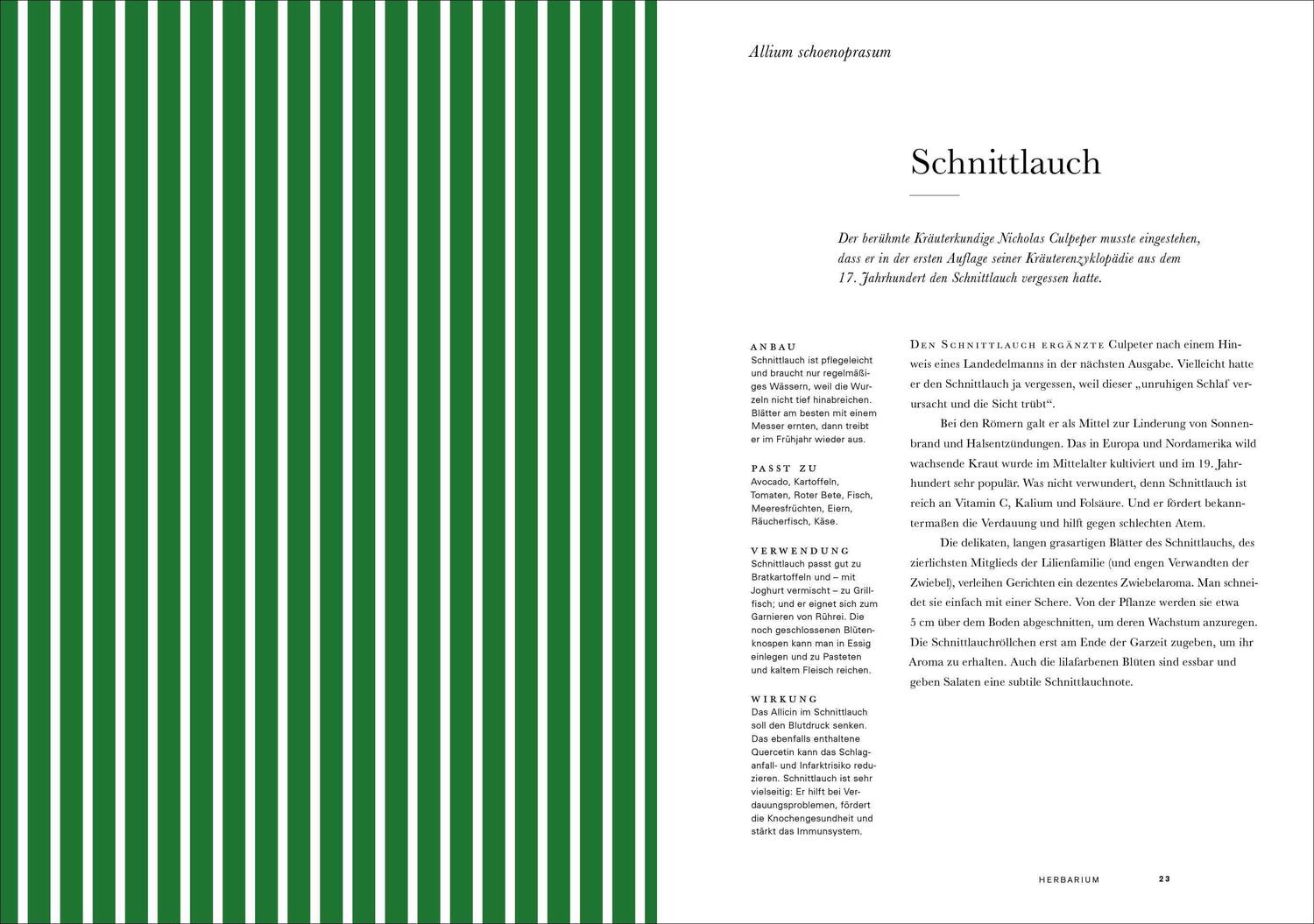 Bild: 9783832199272 | Herbarium | 100 Kräuter - Geschichte, Wirkung, Verwendung | Hildebrand