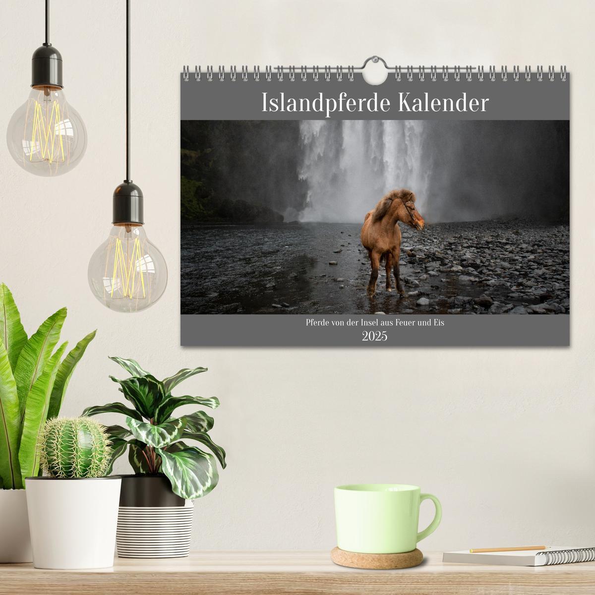 Bild: 9783383763588 | Islandpferde Kalender - Pferde von der Insel aus Feuer und Eis...