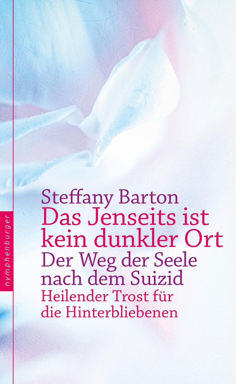 Cover: 9783485028714 | Das Jenseits ist kein dunkler Ort | Steffany Barton | Buch | Deutsch