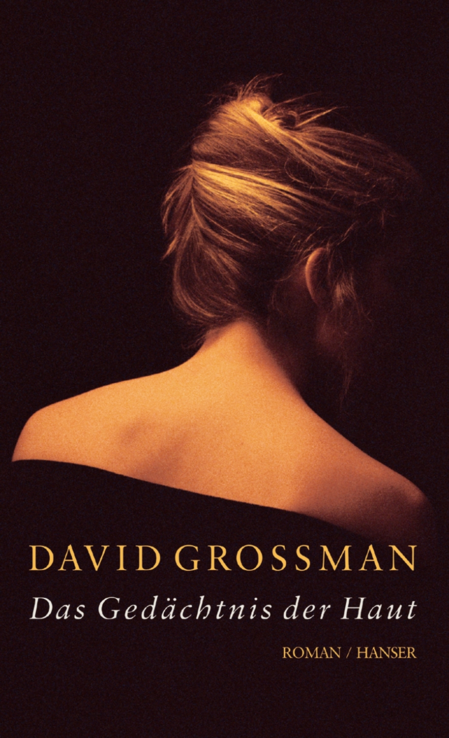 Cover: 9783446205291 | Das Gedächtnis der Haut | Zwei Novellen | David Grossman | Buch | 2004