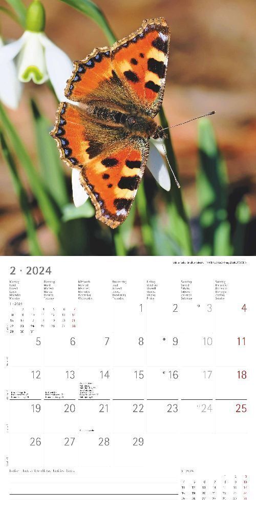 Bild: 4251732335496 | Wald und Flur 2024 - Broschürenkalender 30x30 cm (30x60 geöffnet) -...