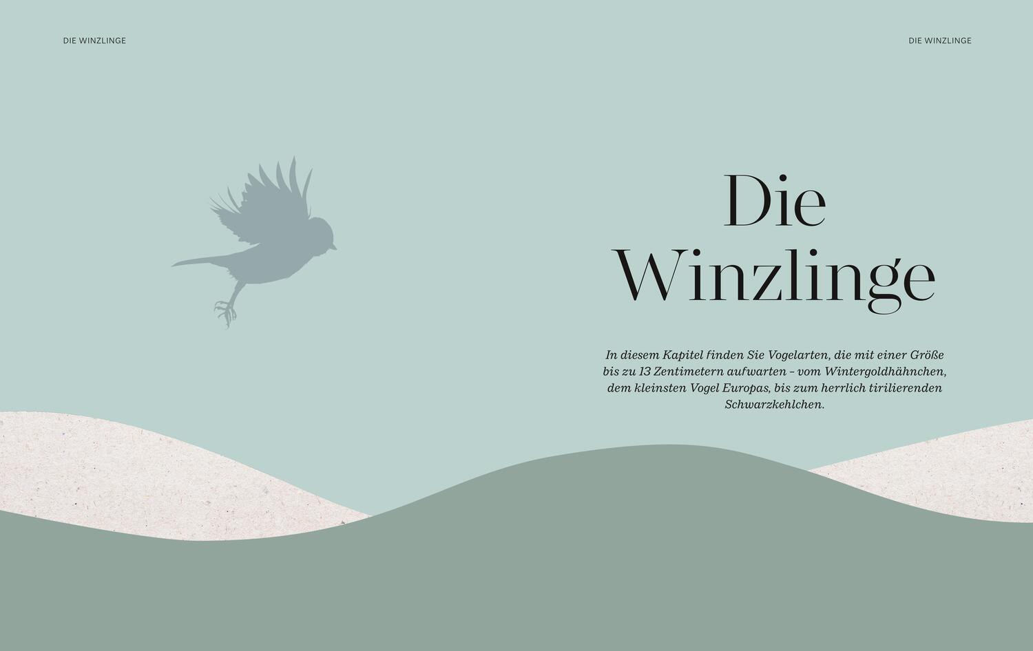 Bild: 9783967470796 | Die magische Welt unserer Vögel | Hannes Bonzheim (u. a.) | Buch | BLV
