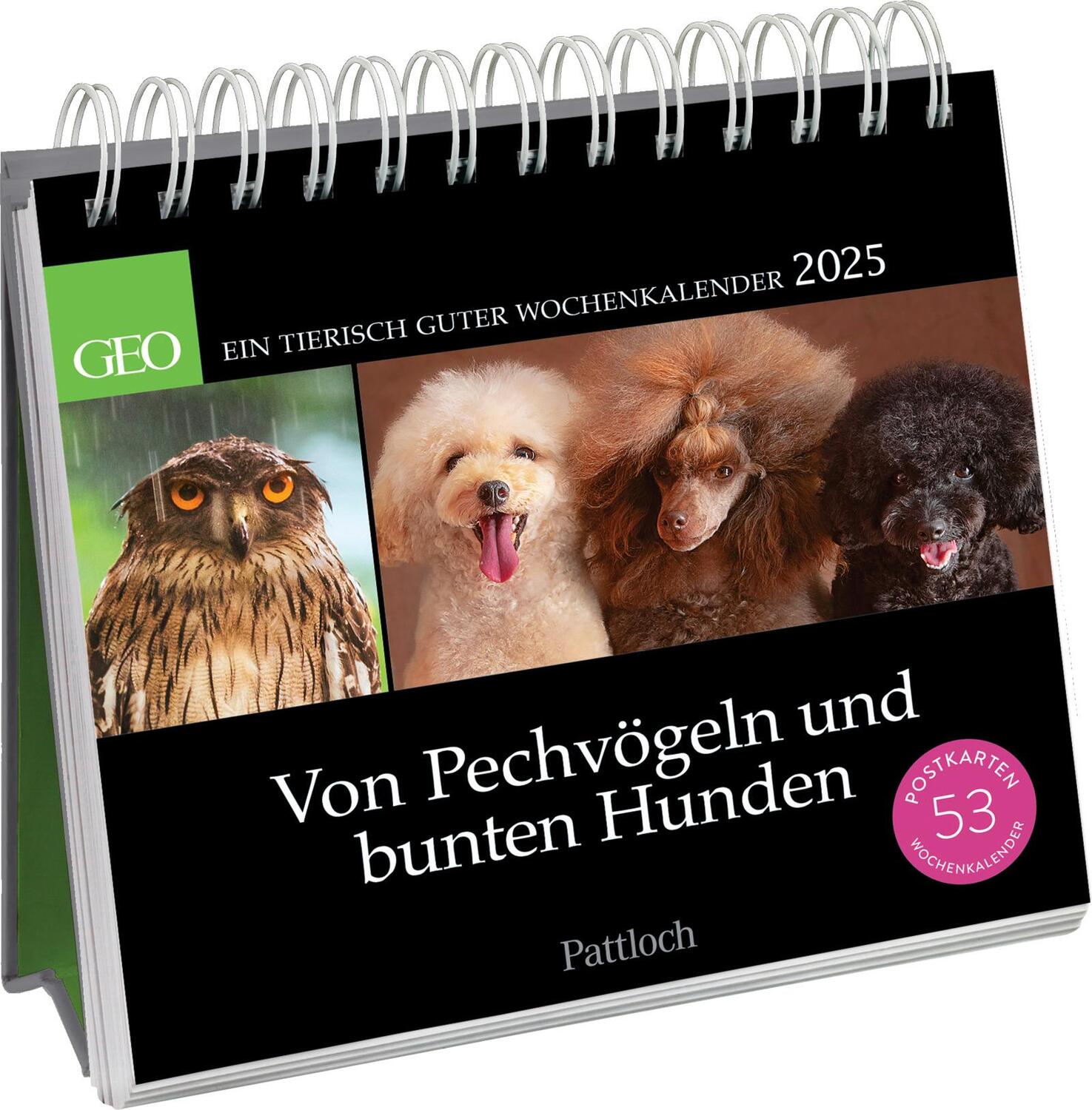 Cover: 4260308345098 | Postkartenkalender 2025: Von Pechvögeln und bunten Hunden | Geo | 2025