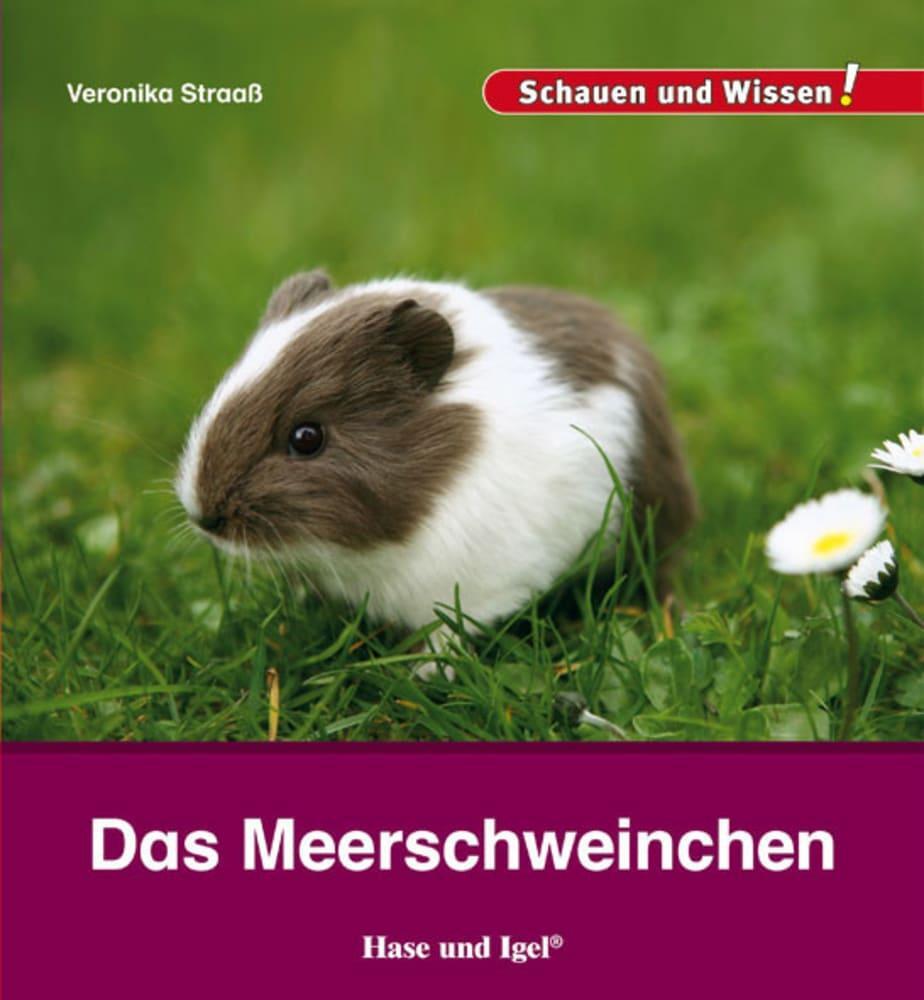 Cover: 9783867607827 | Das Meerschweinchen | Schauen und Wissen! | Veronika Straaß | Buch