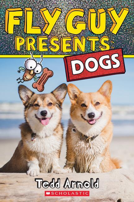 Cover: 9781338681796 | Fly Guy Presents: Dogs | Tedd Arnold | Taschenbuch | Englisch | 2022