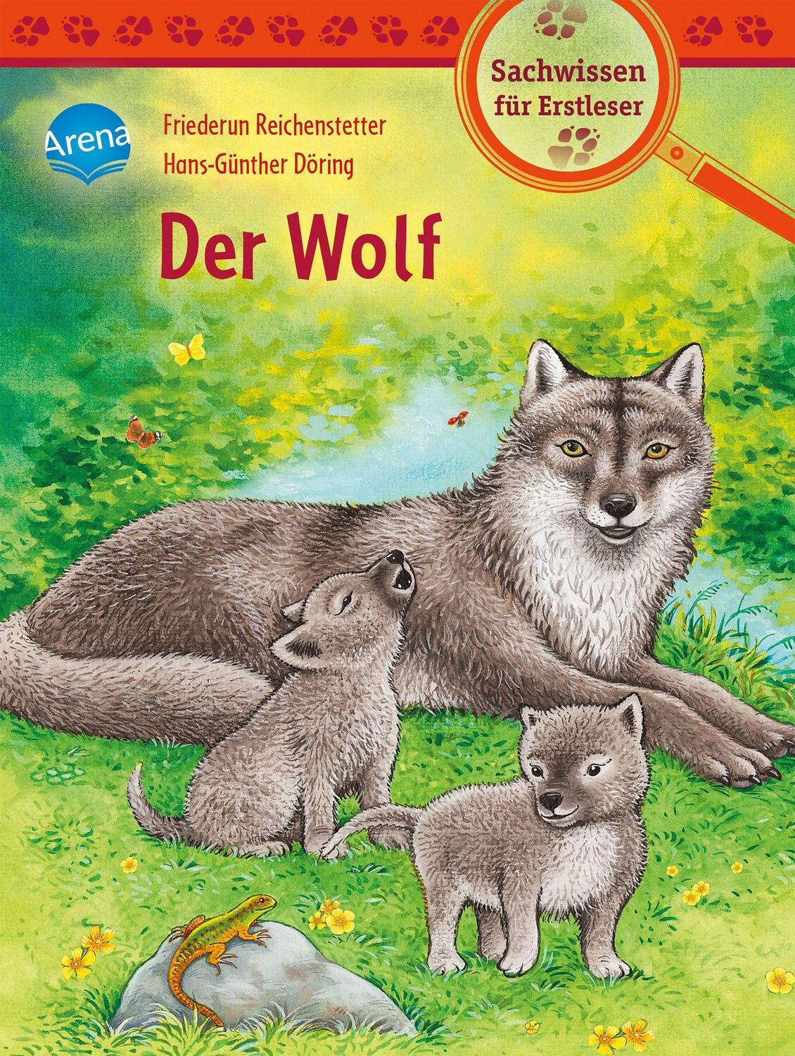 Cover: 9783401717753 | Der Wolf | Sachwissen für Erstleser | Friederun Reichenstetter | Buch