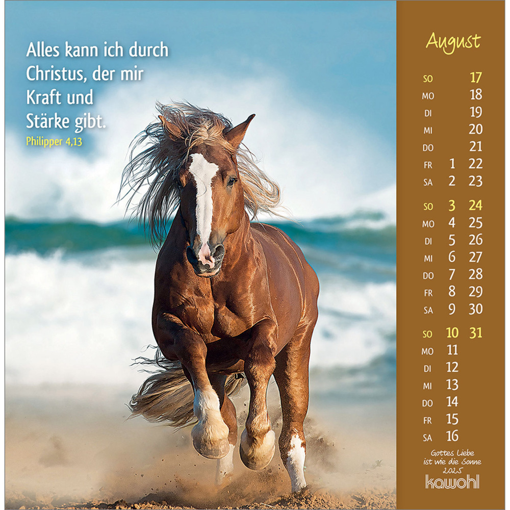 Bild: 9783754848050 | Gottes Liebe ist wie die Sonne 2025 | Tierkalender mit Bibelworten