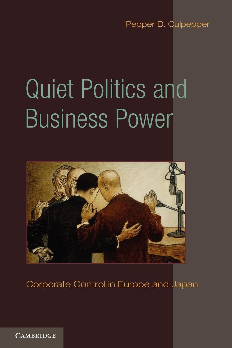 Cover: 9780521134132 | Quiet Politics and Business Power | Pepper D. Culpepper | Taschenbuch