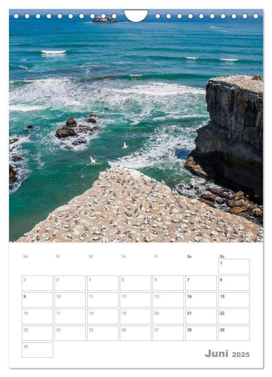 Bild: 9783435994250 | Kalenderplaner g'day Neuseeland 2025 (Wandkalender 2025 DIN A4...