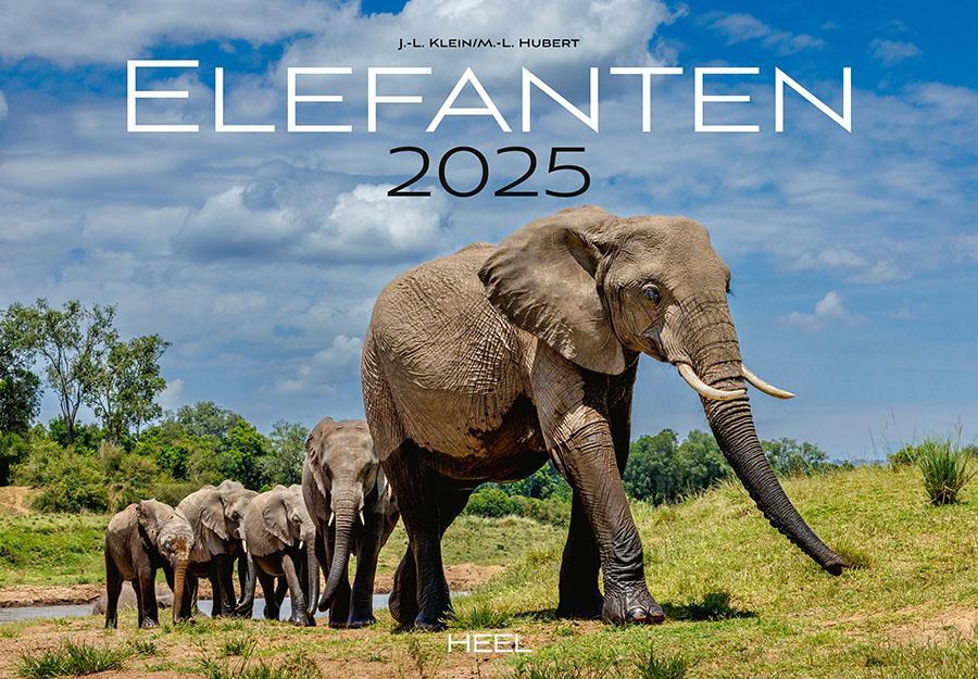 Cover: 9783966648127 | Elefanten Kalender 2025 | J. -L. Klein (u. a.) | Kalender | 14 S.