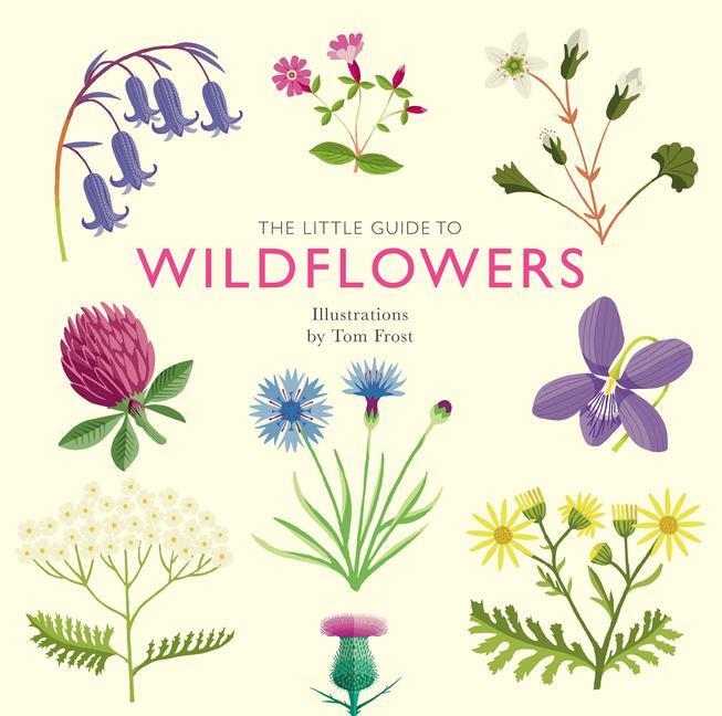 Cover: 9781787139589 | The Little Guide to Wildflowers | Alison Davies | Buch | Little Guides