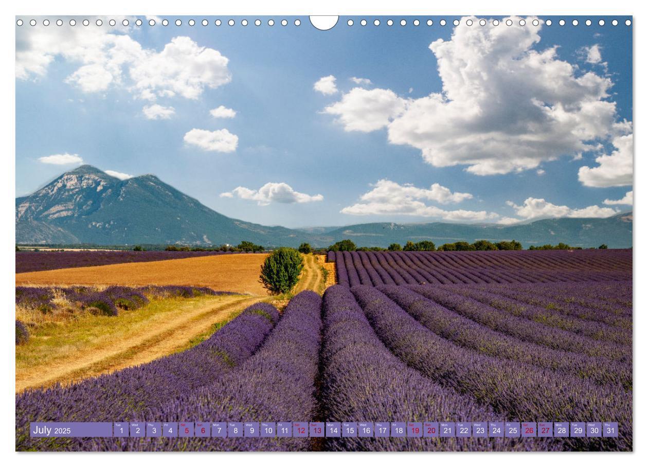 Bild: 9781325930173 | Discover the Beauty of Provence (Wall Calendar 2025 DIN A3...