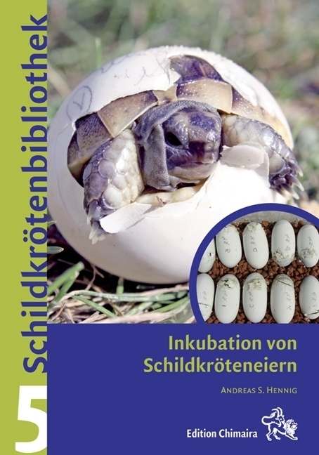 Cover: 9783899735055 | Inkubation von Schildkröteneiern | Andreas S. Hennig | Buch | Deutsch