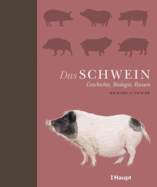Cover: 9783258080932 | Das Schwein | Geschichte, Biologie, Rassen | Richard Lutwyche | Buch