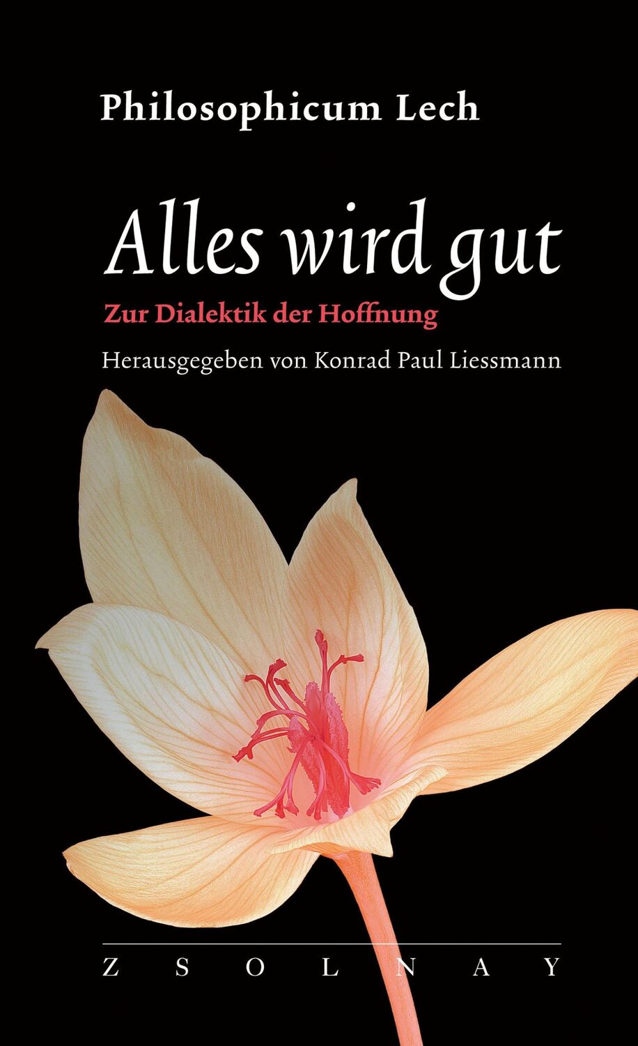 Cover: 9783552073951 | Alles wird gut | Zur Dialektik der Hoffnung (Philosophicum Lech 26)