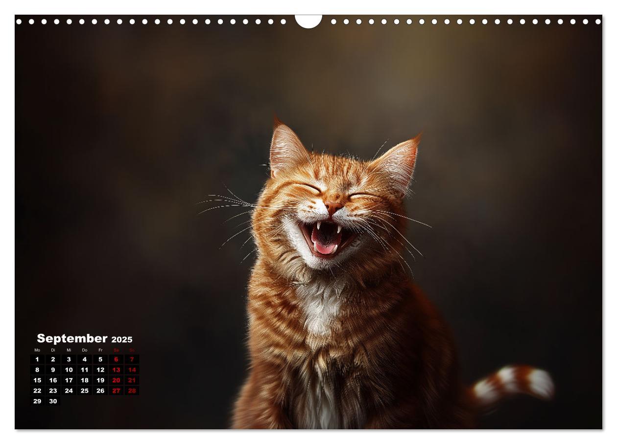 Bild: 9783457202005 | Auch Katzen lachen gern (Wandkalender 2025 DIN A3 quer), CALVENDO...