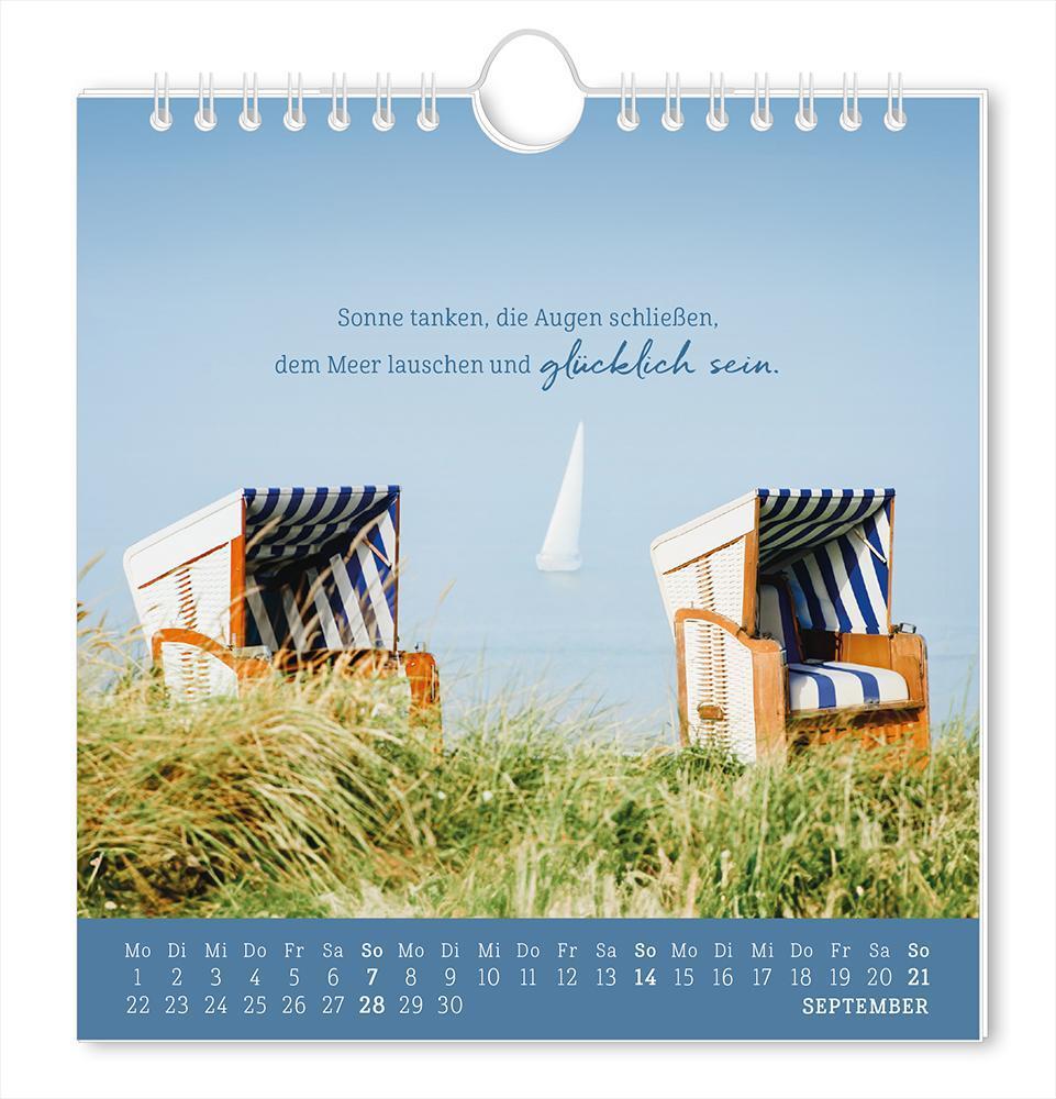 Bild: 9783986361167 | Postkartenkalender 2025 Strandgut | Postkartenkalender | Original