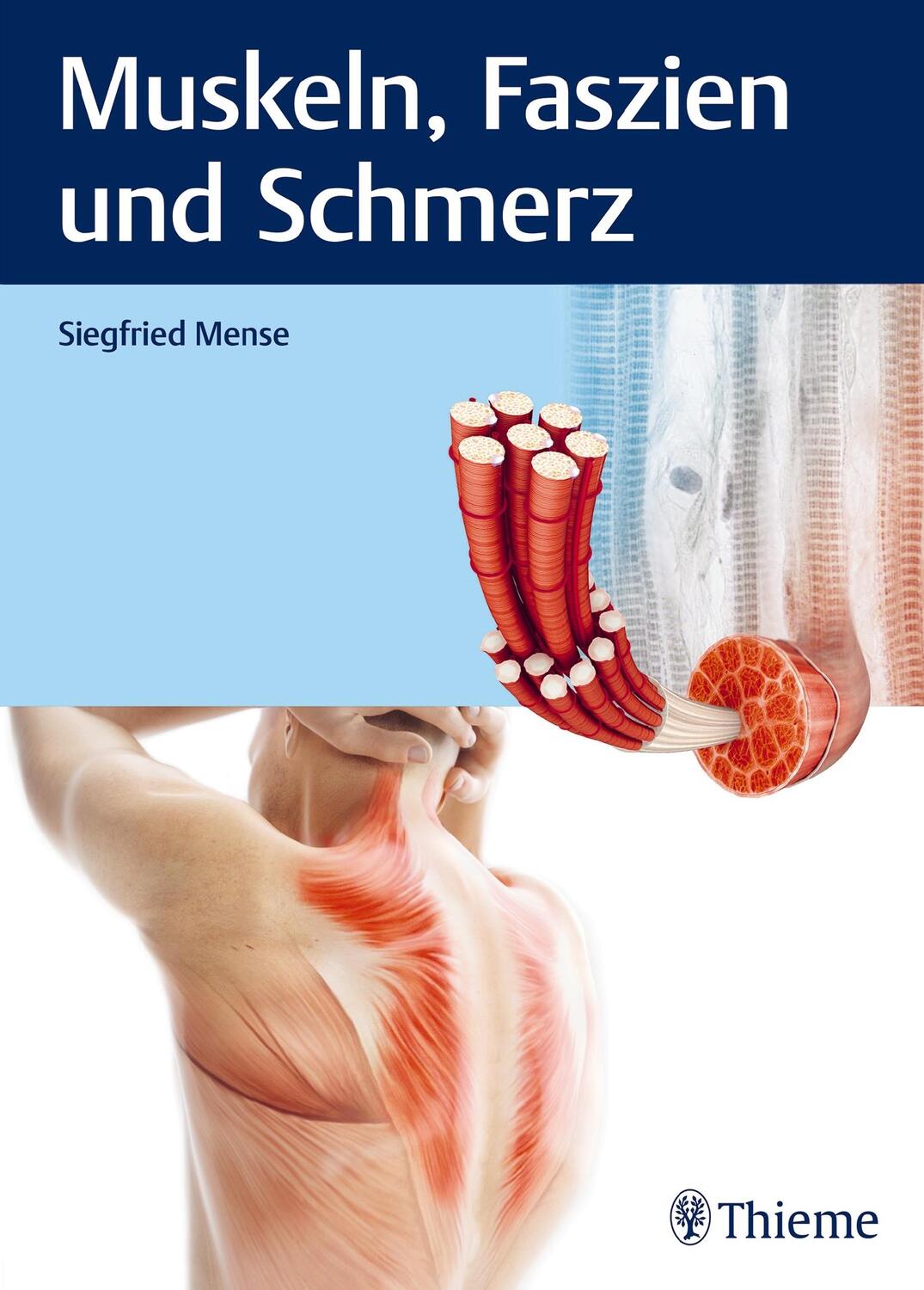Cover: 9783132426610 | Muskeln, Faszien und Schmerz | Siegfried Mense | Buch | Physiofachbuch