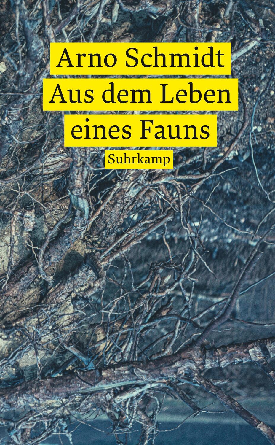 Cover: 9783518473320 | Aus dem Leben eines Fauns | Roman | Arno Schmidt | Taschenbuch | 2023