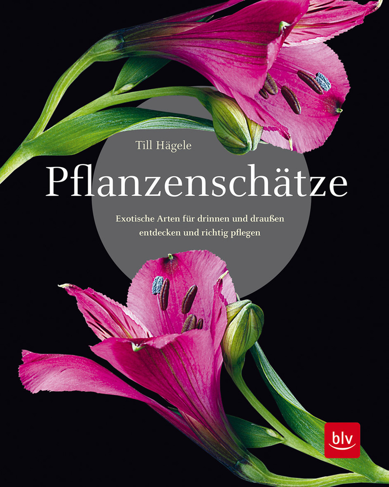 Cover: 9783967470277 | Pflanzenschätze | Till Hägele | Buch | 288 S. | Deutsch | 2020