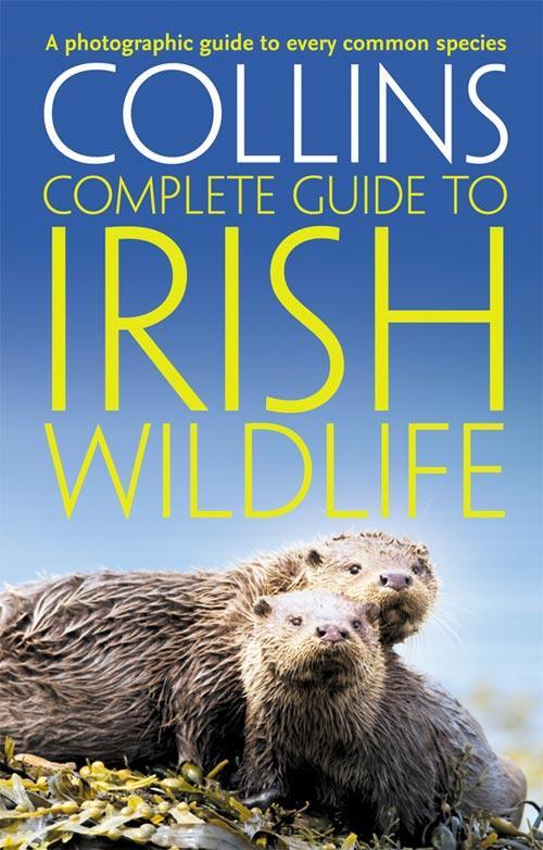Cover: 9780007349517 | Collins Complete Irish Wildlife | Introduction by Derek Mooney | Buch