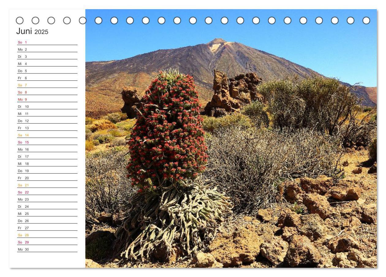 Bild: 9783435546886 | Der Norden von Teneriffa (Tischkalender 2025 DIN A5 quer), CALVENDO...