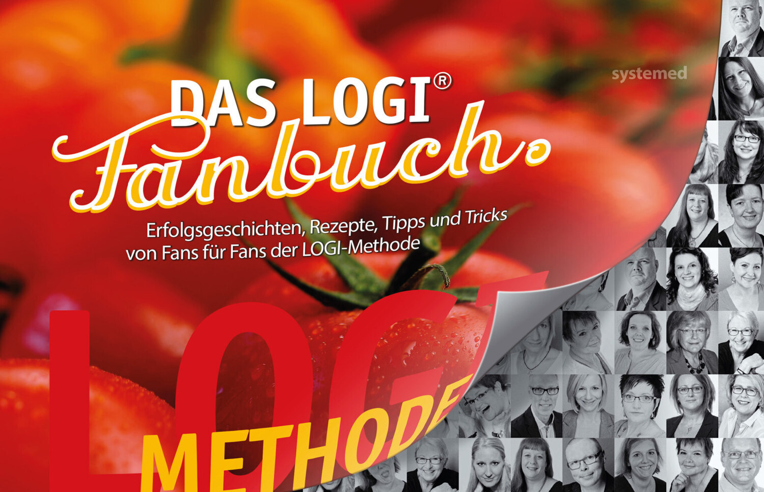 Cover: 9783958140790 | Das LOGI-Fanbuch | riva Verlag | Taschenbuch | Spiralbindung, Broschur