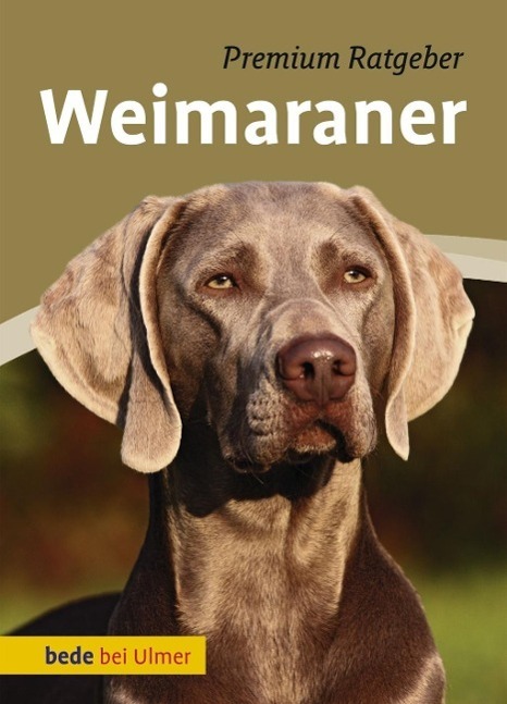 Cover: 9783800177462 | Weimaraner | Annette Schmitt | Buch | bede bei Ulmer | Deutsch | 2013
