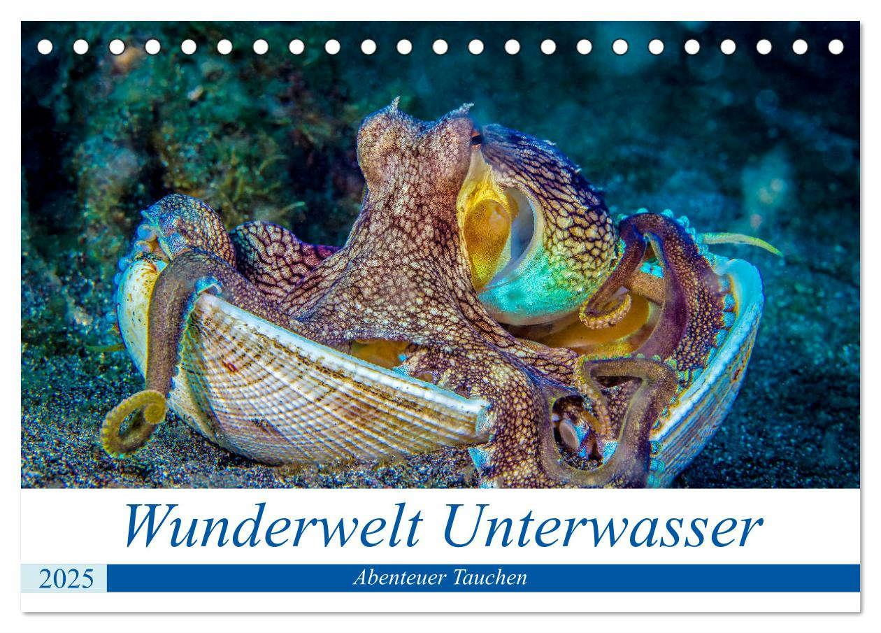 Cover: 9783435289394 | Wunderwelt Unterwasser (Tischkalender 2025 DIN A5 quer), CALVENDO...