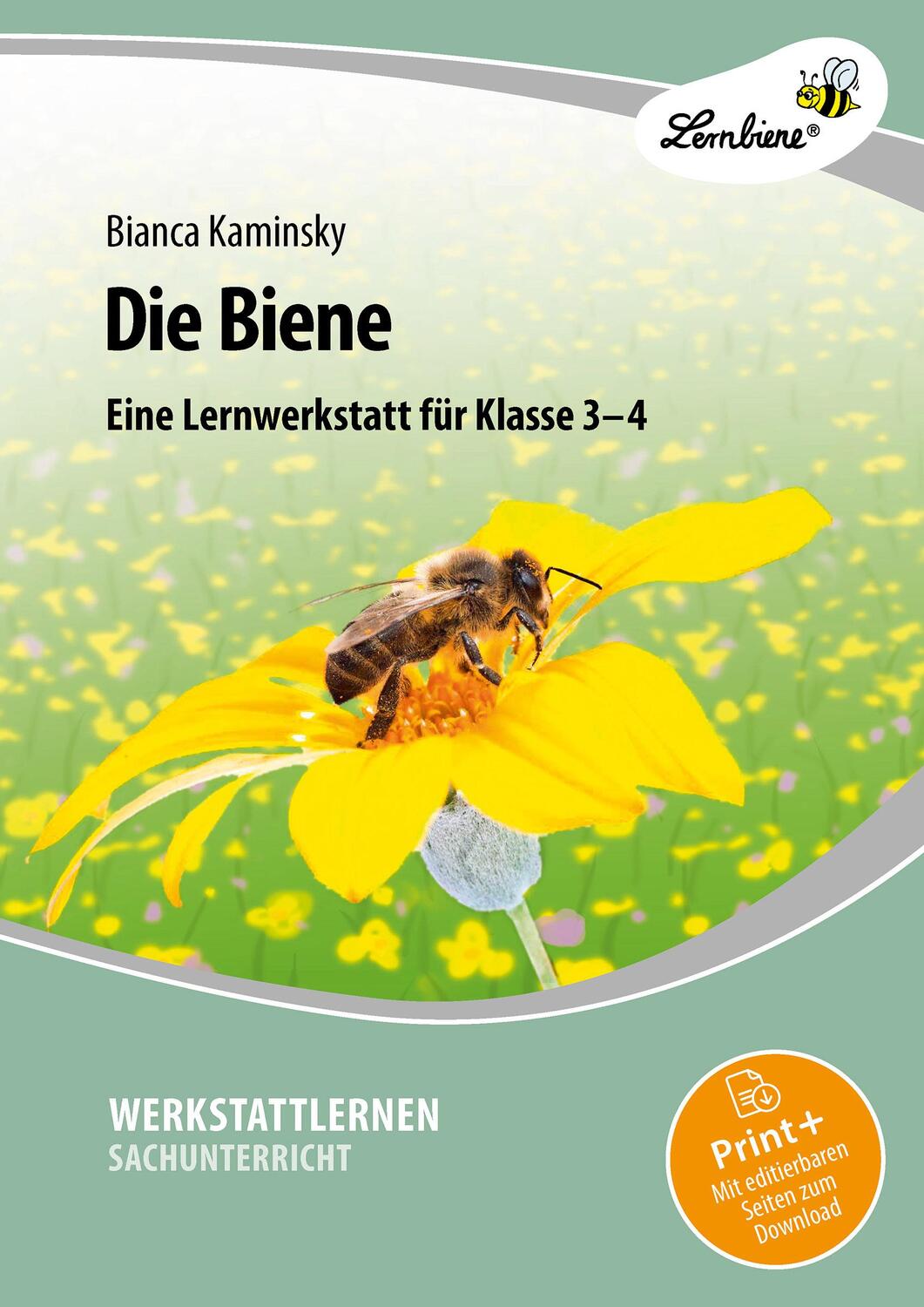 Cover: 9783956645853 | Die Biene. Grundschule, Sachunterricht, Klasse 3-4 | Bianca Kaminsky