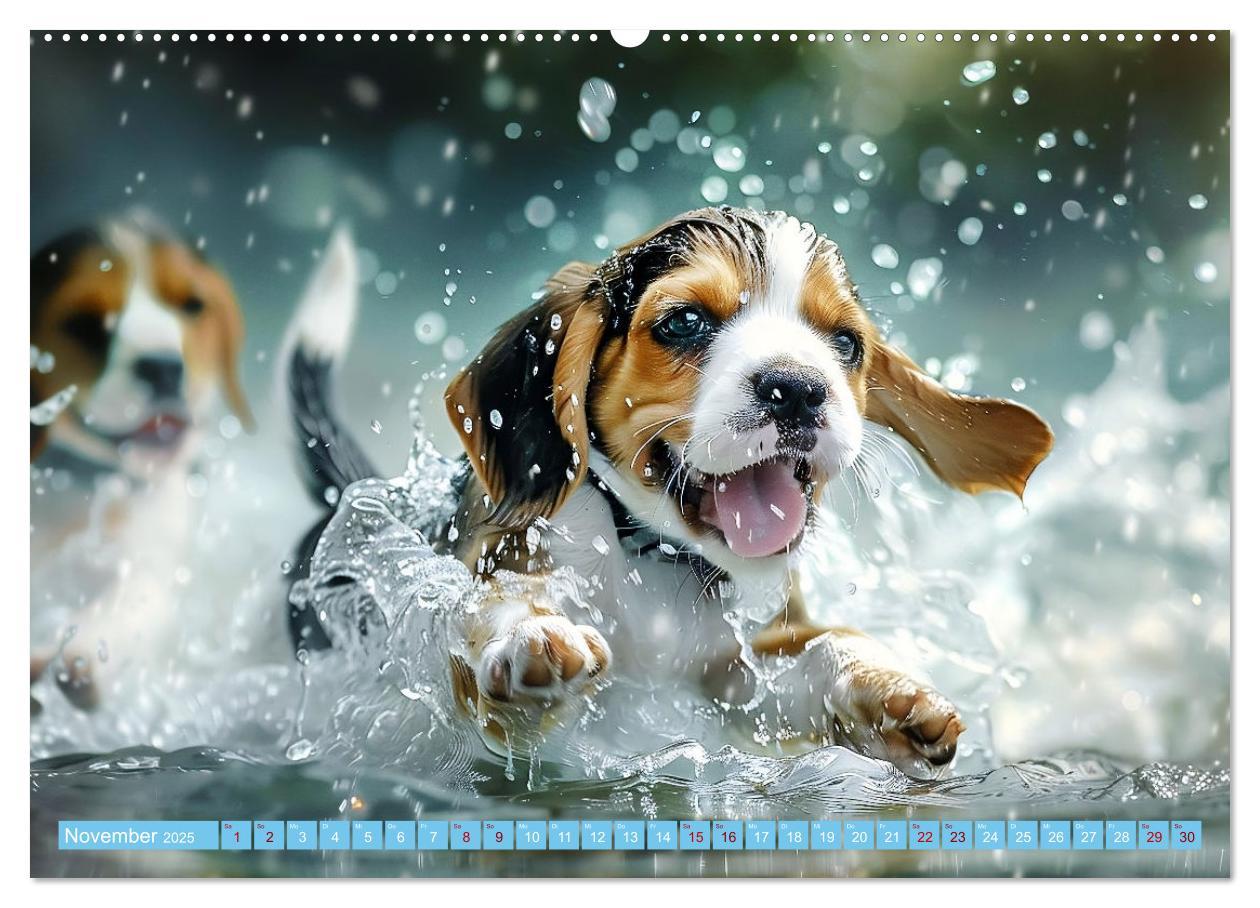 Bild: 9783457129241 | Hunde und Wasser (Wandkalender 2025 DIN A2 quer), CALVENDO...