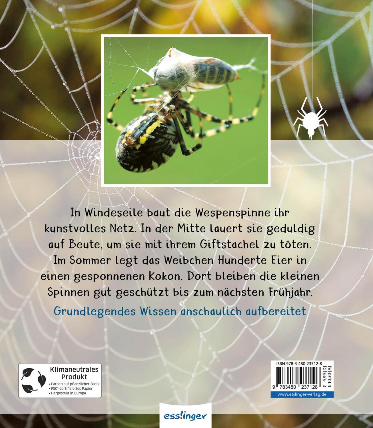 Rückseite: 9783480237128 | Meine große Tierbibliothek: Die Spinne | Jens Poschadel | Buch | 32 S.