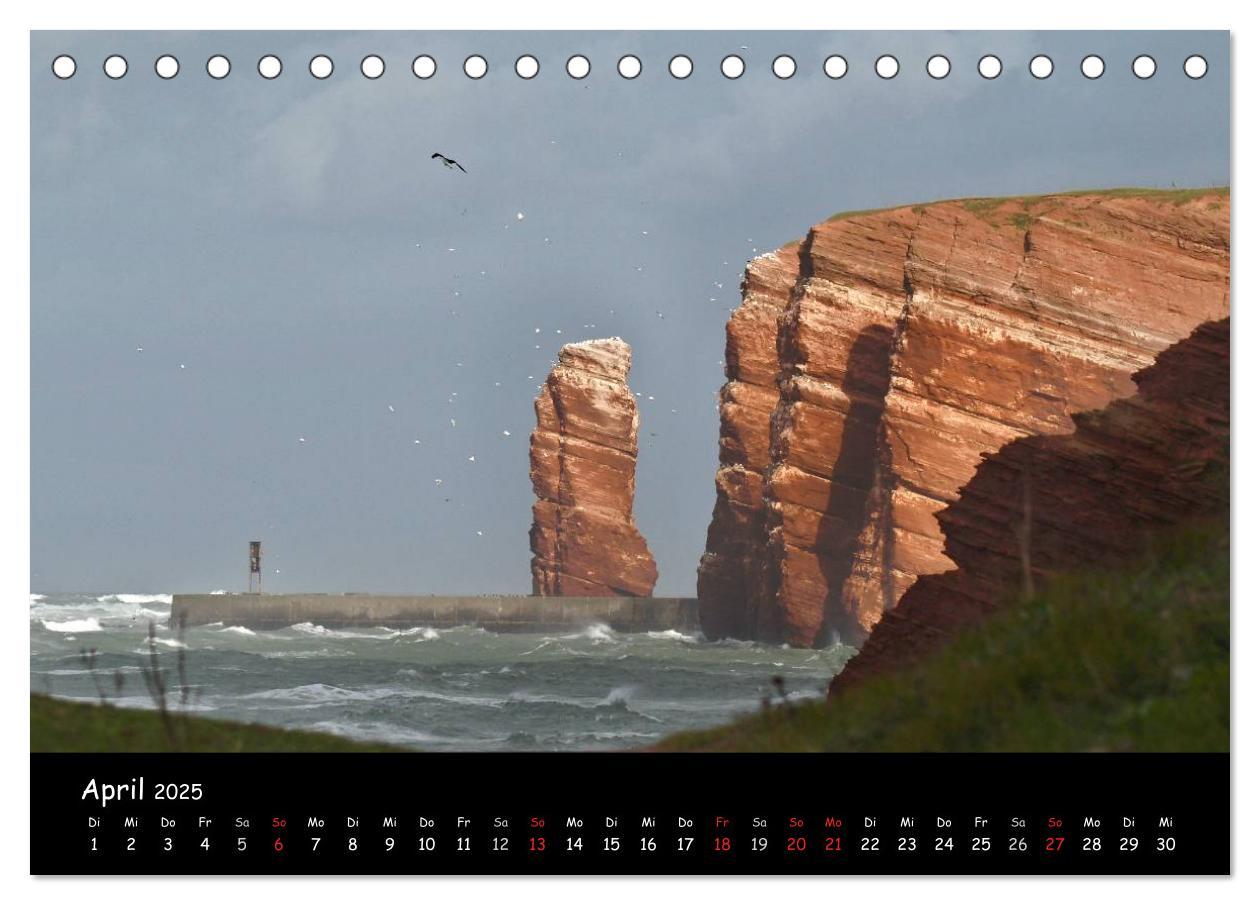 Bild: 9783435790685 | Helgoland und die Düne (Tischkalender 2025 DIN A5 quer), CALVENDO...