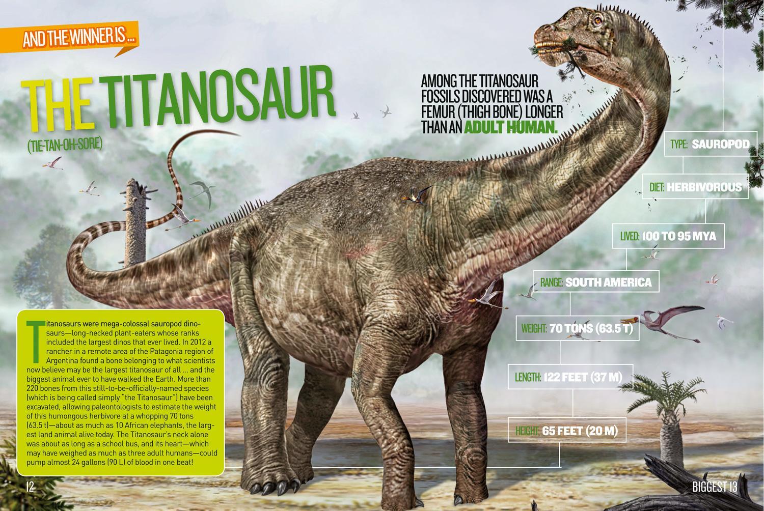 Bild: 9781426327940 | Dino Records | National Geographic Kids | Taschenbuch | Dinosaurs