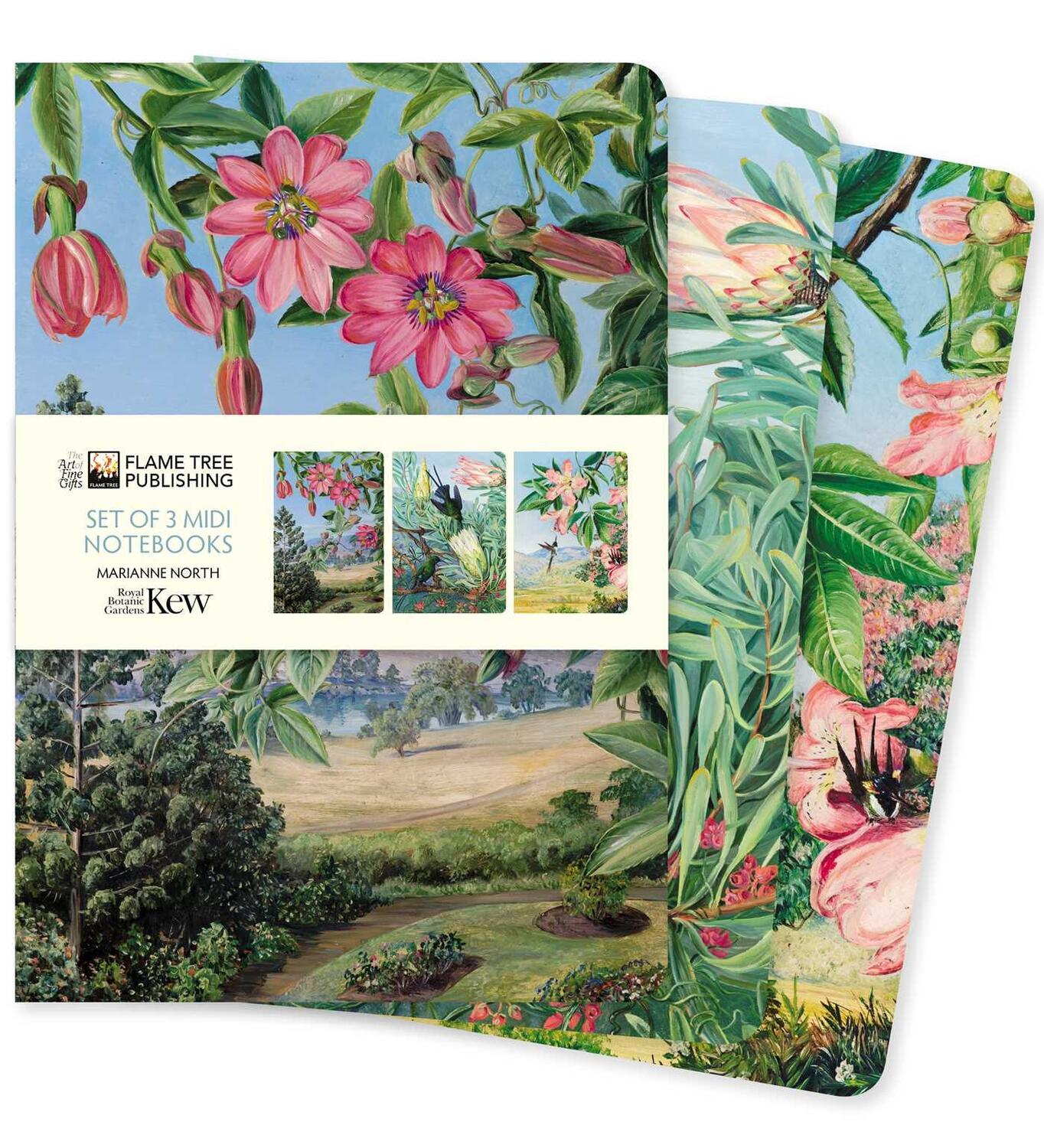 Cover: 9781804172209 | Kew Gardens: Marianne North Set of 3 MIDI Notebooks | Buch | 192 S.