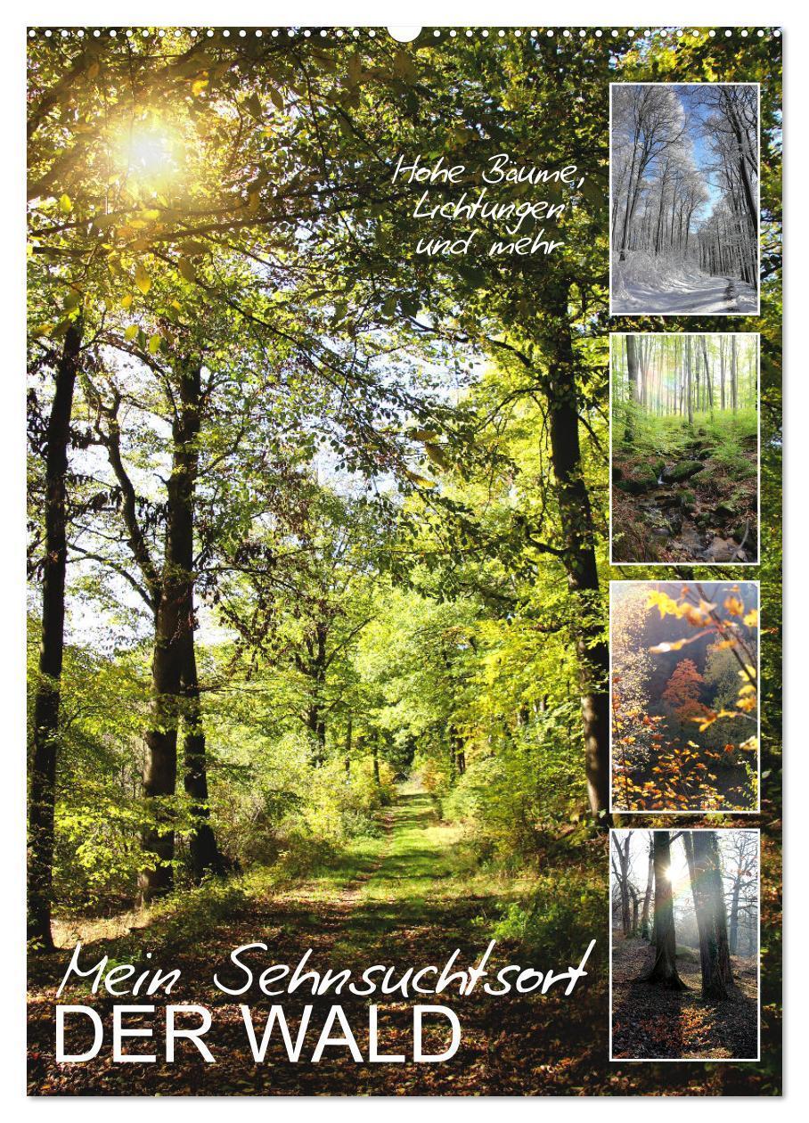 Cover: 9783435927531 | Mein Sehnsuchtsort, der Wald (Wandkalender 2025 DIN A2 hoch),...