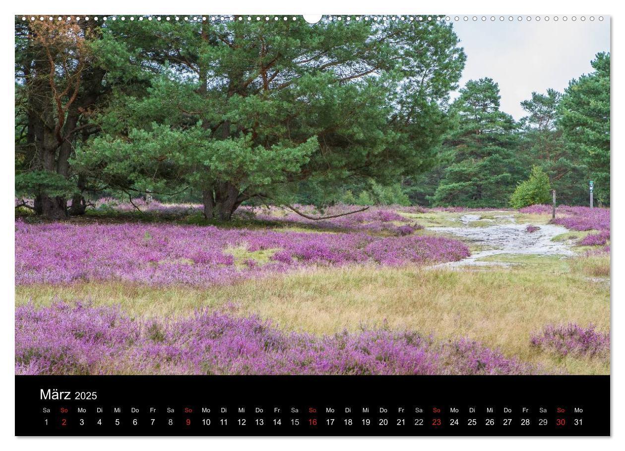 Bild: 9783435775040 | Lüneburger Heide (Wandkalender 2025 DIN A2 quer), CALVENDO...