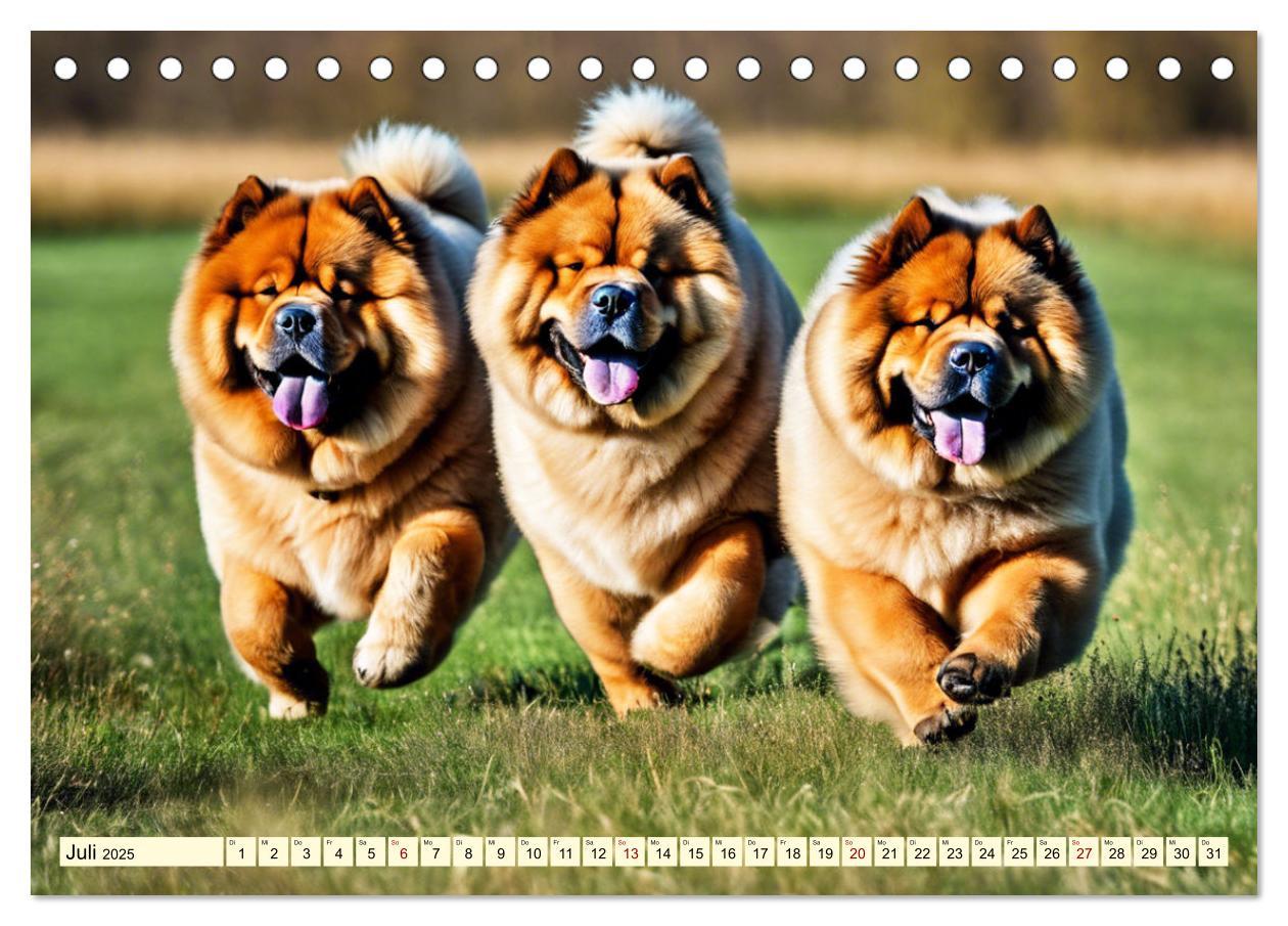 Bild: 9783457036945 | Chow Chow - der Löwenkopfhund (Tischkalender 2025 DIN A5 quer),...